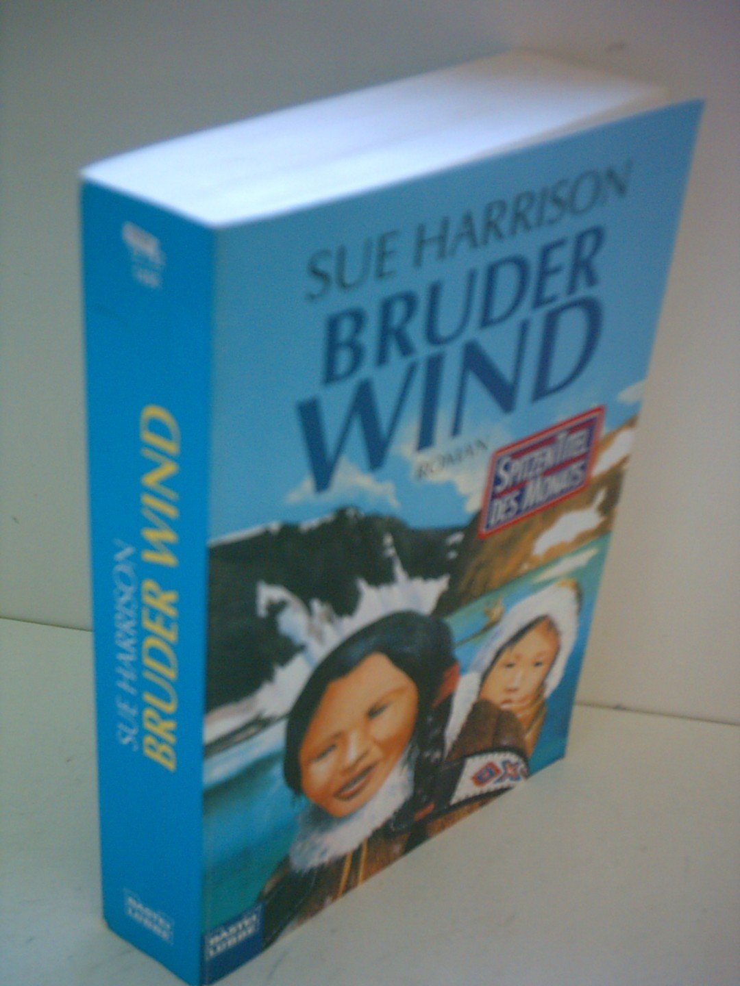 Bruder Wind (Allgemeine Reihe. Bastei Lübbe Taschenbücher) Fiction