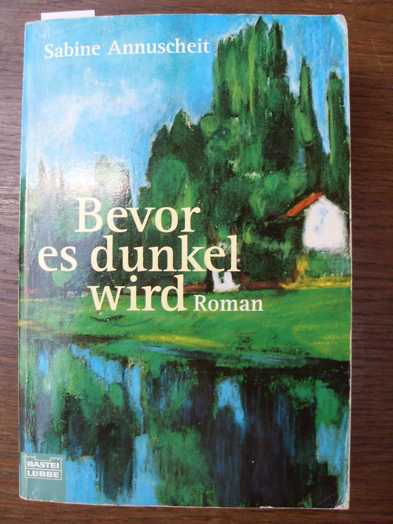 Bevor es dunkel wird (Allgemeine Reihe. Bastei Lübbe Taschenbücher) Books