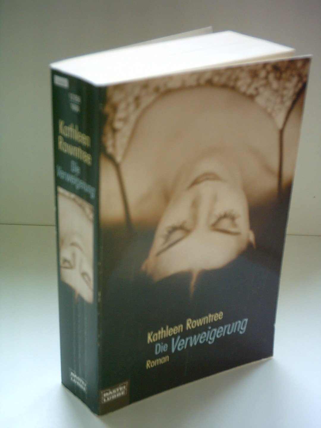 Die Verweigerung (Allgemeine Reihe. Bastei Lübbe Taschenbücher) Books