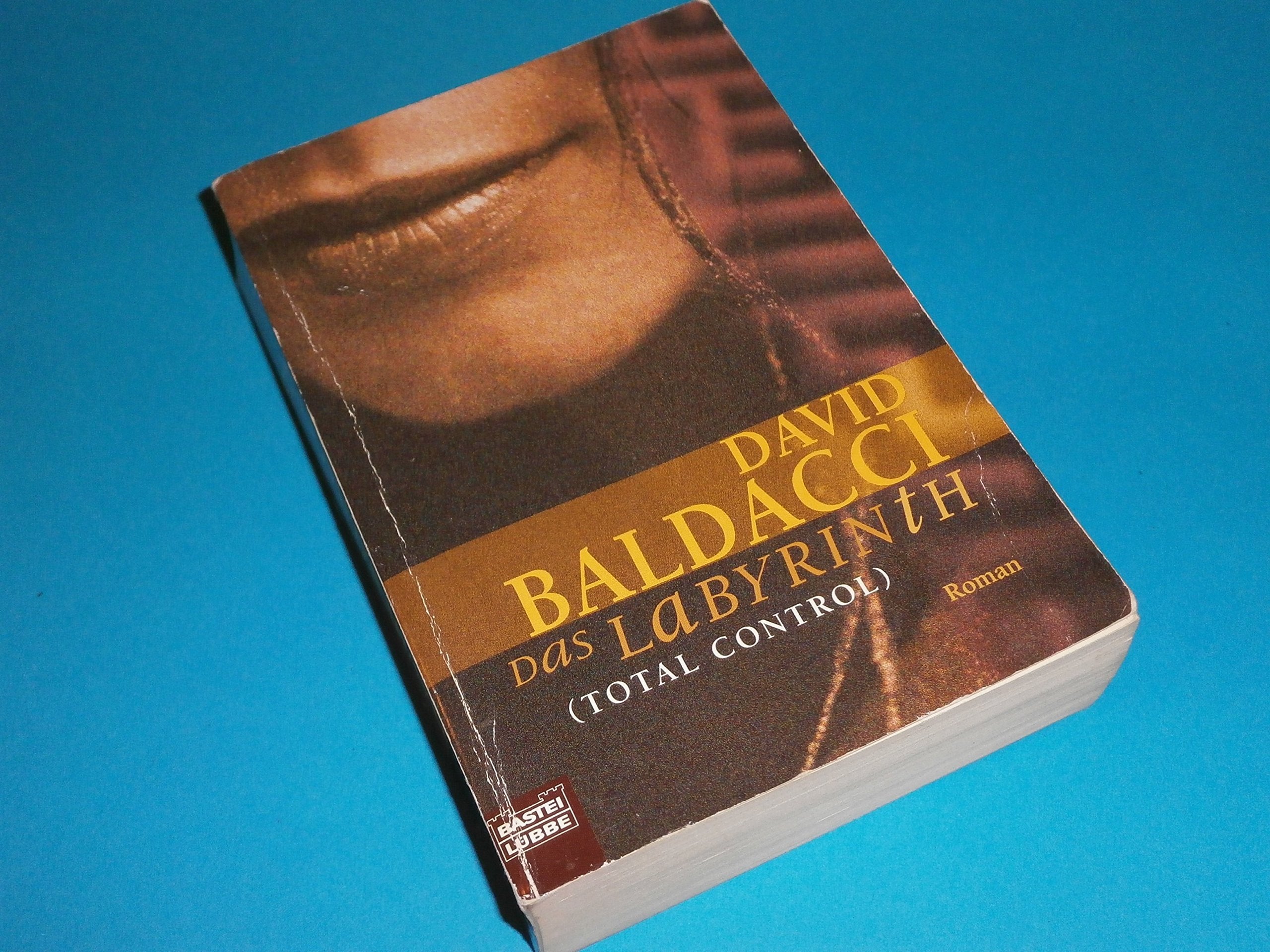 Das Labyrinth. Total Control Contemporary literature Books