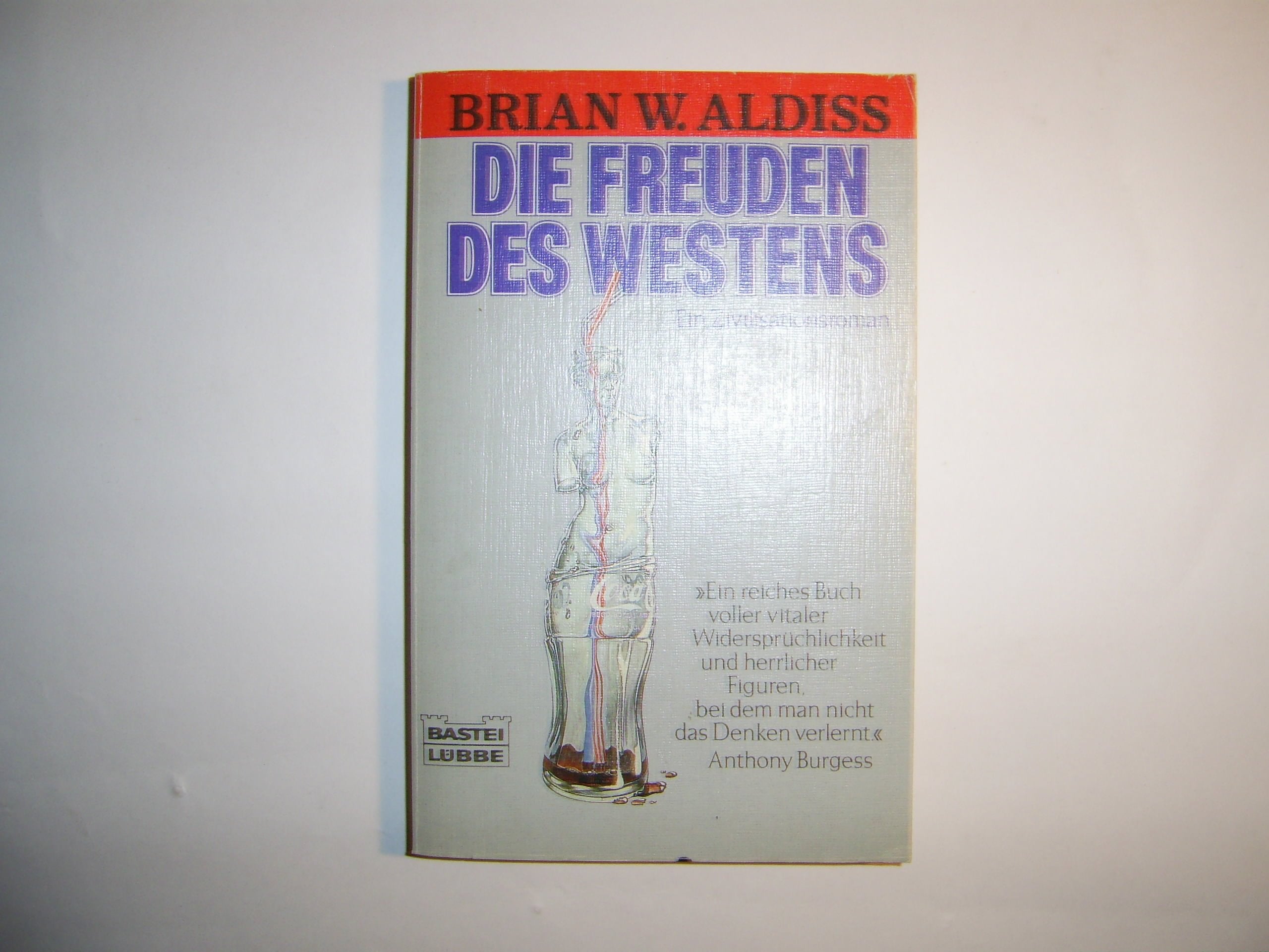 Die Freuden des Westens (Allgemeine Reihe. Bastei Lübbe Taschenbücher) Fantasy & Sci-Fi