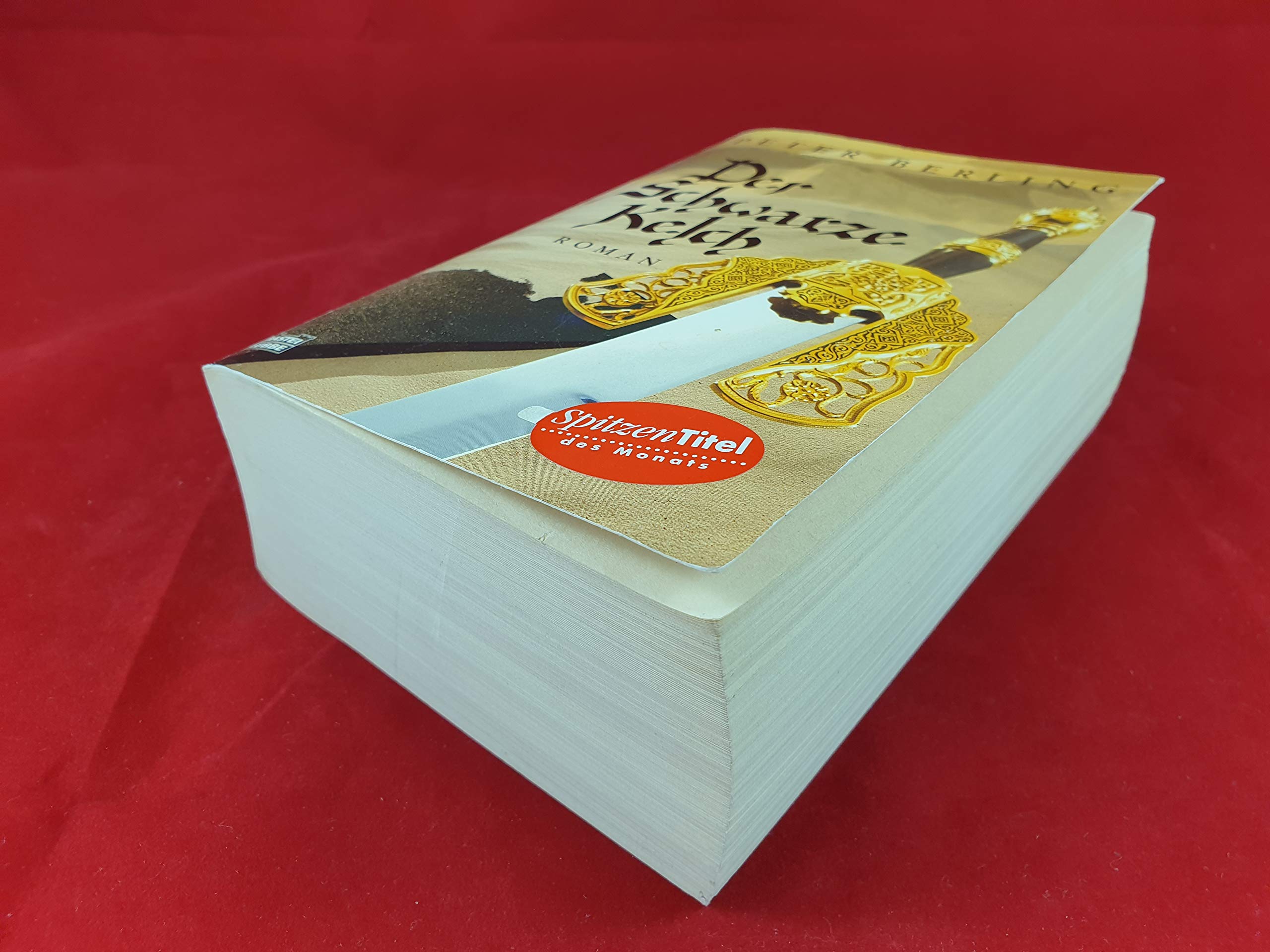 Der schwarze Kelch: Roman. (Allgemeine Reihe. Bastei Lübbe Taschenbücher) Historical Fiction