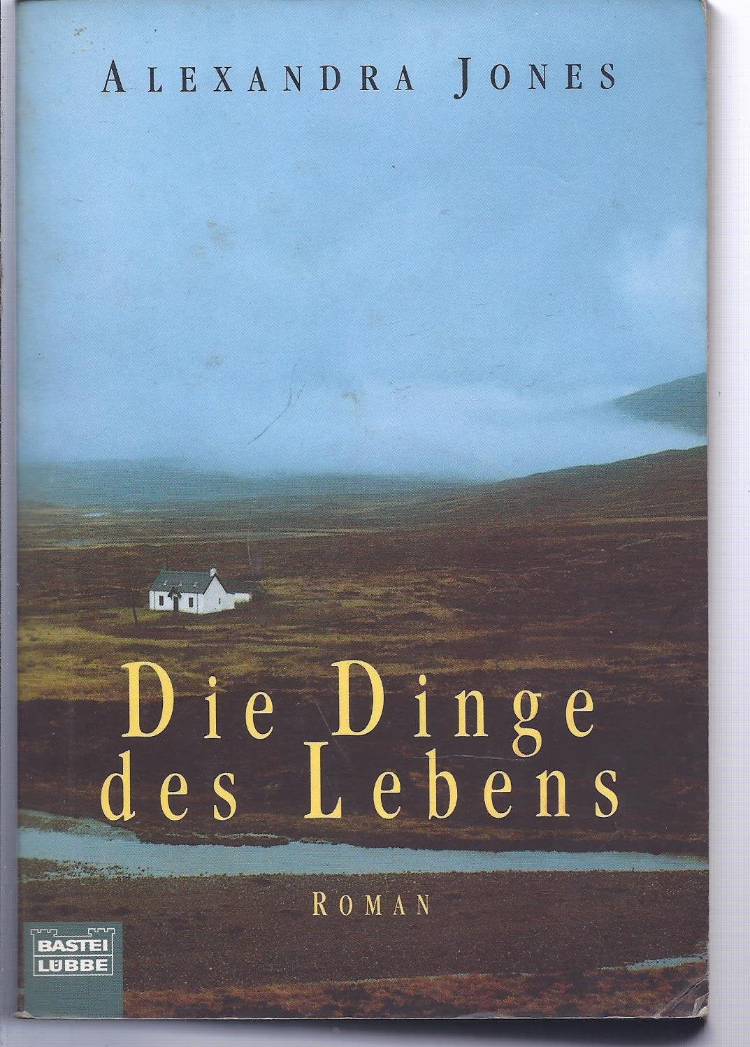 Die Dinge des Lebens (Allgemeine Reihe. Bastei Lübbe Taschenbücher) Books