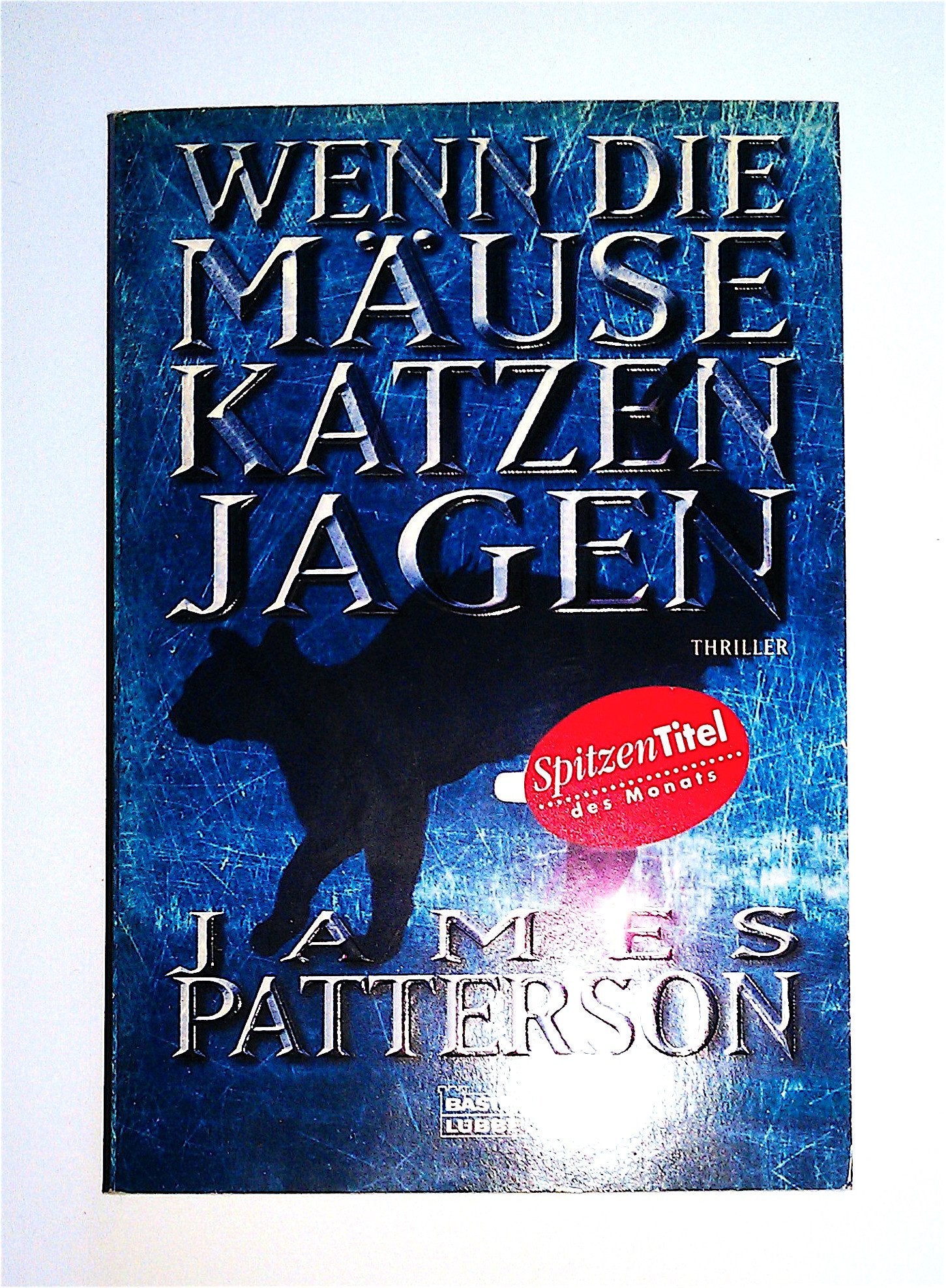 Wenn die Mäuse Katzen jagen: Thriller (Allgemeine Reihe. Bastei Lübbe Taschenbücher) Contemporary literature