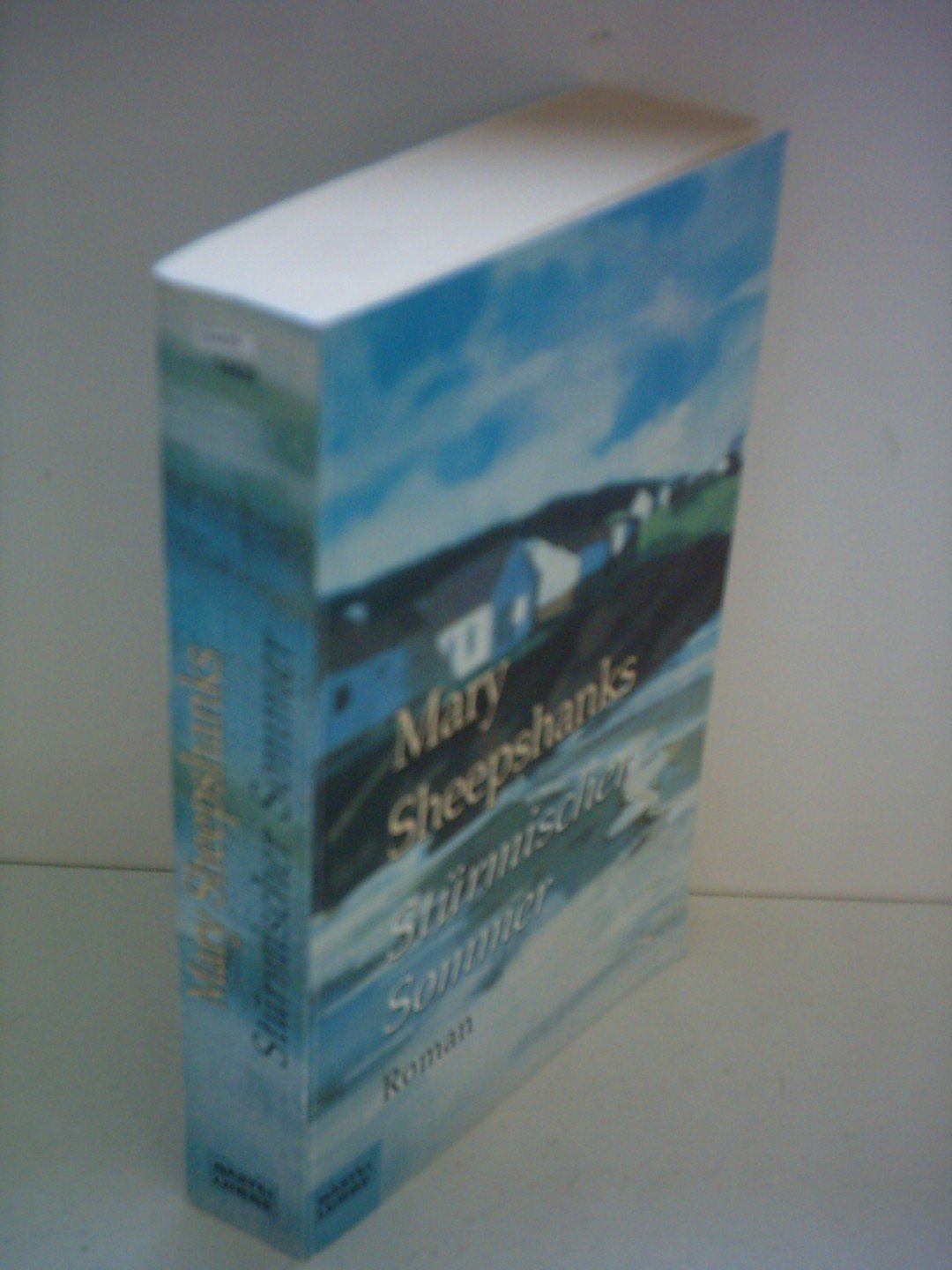 Stürmischer Sommer (Englische Reihe. Bastei Lübbe Taschenbücher) Books