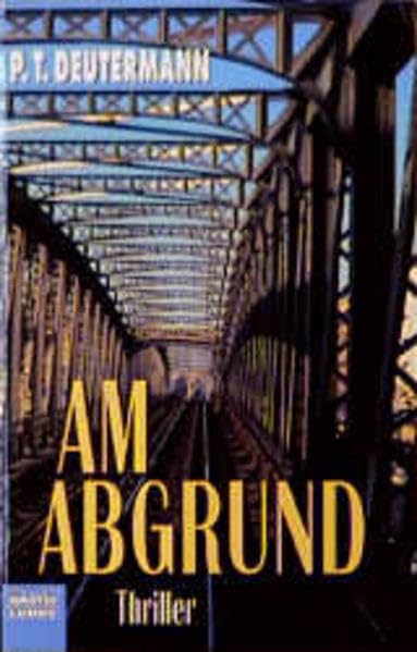 Am Abgrund: Thriller (Allgemeine Reihe. Bastei Lübbe Taschenbücher) Crime & Thrillers
