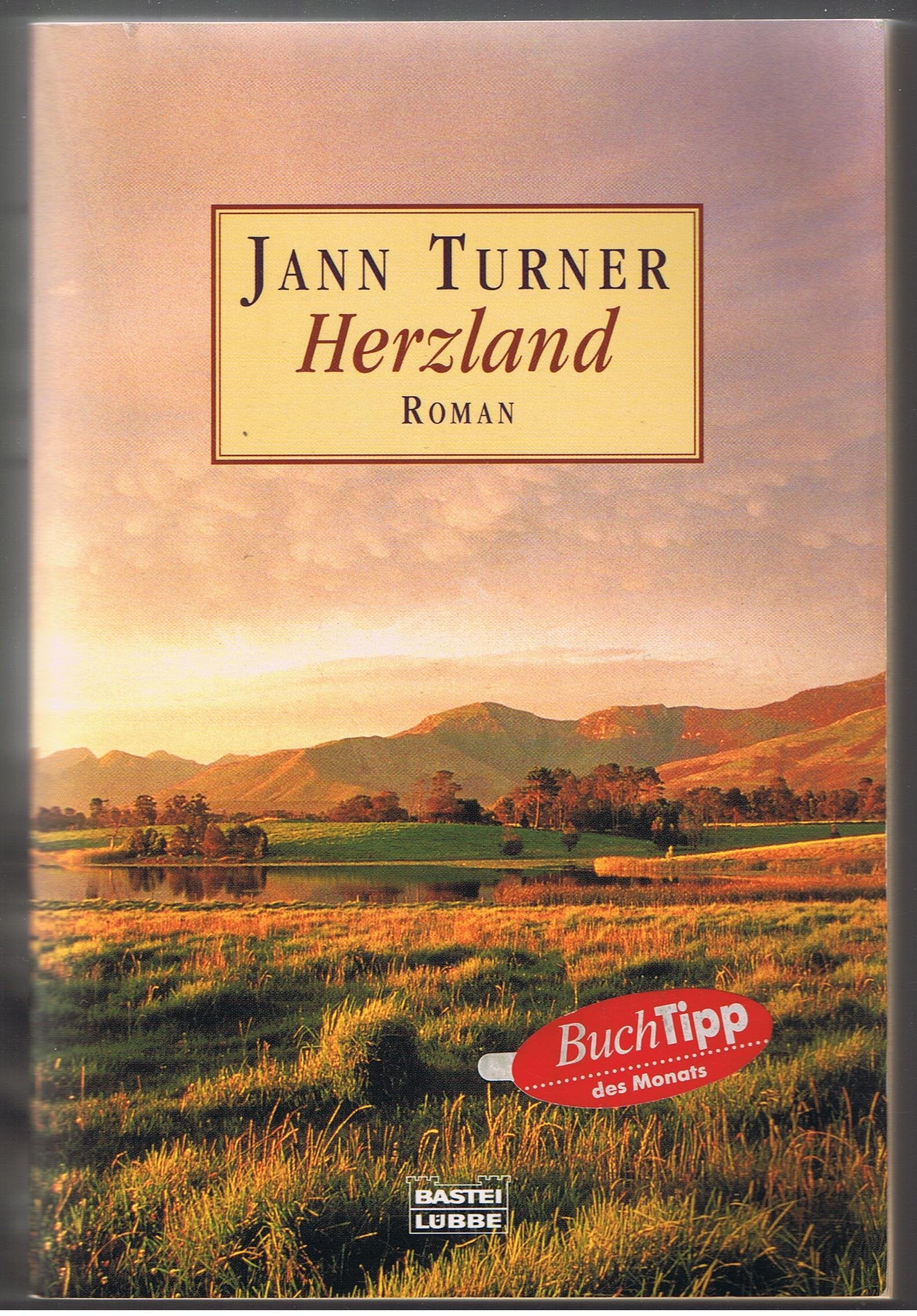 Herzland (Allgemeine Reihe. Bastei Lübbe Taschenbücher) Contemporary literature