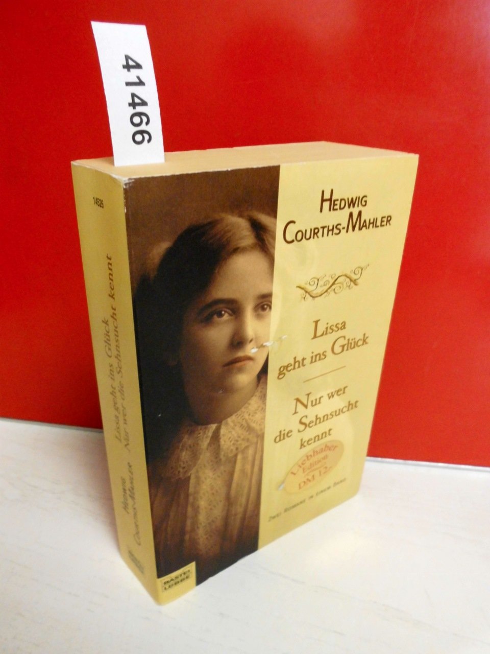 Lissa geht ins Glück/Nur wer die Sehnsucht kennt: 2 Romane in 1 Band (Allgemeine Reihe. Bastei Lübbe Taschenbücher) Books