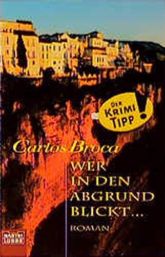 Wer in den Abgrund blickt... (Allgemeine Reihe. Bastei Lübbe Taschenbücher) Crime & Thrillers