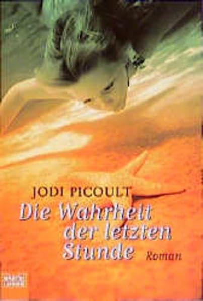Die Wahrheit der letzten Stunde (Allgemeine Reihe. Bastei Lübbe Taschenbücher) Contemporary literature