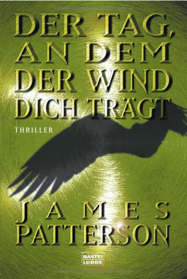 Der Tag, an dem der Wind dich trägt: Thriller. Aus d. Amerikan. v. Edda Petri. (Allgemeine Reihe. Bastei Lübbe Taschenbücher) Contemporary literature