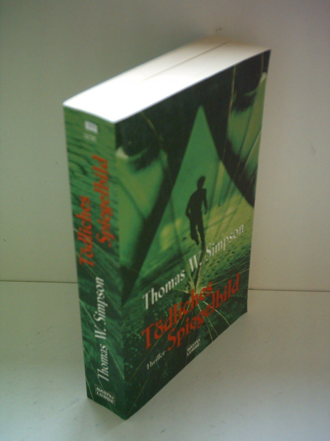 Tödliches Spiegelbild (Allgemeine Reihe. Bastei Lübbe Taschenbücher) Crime & Thrillers