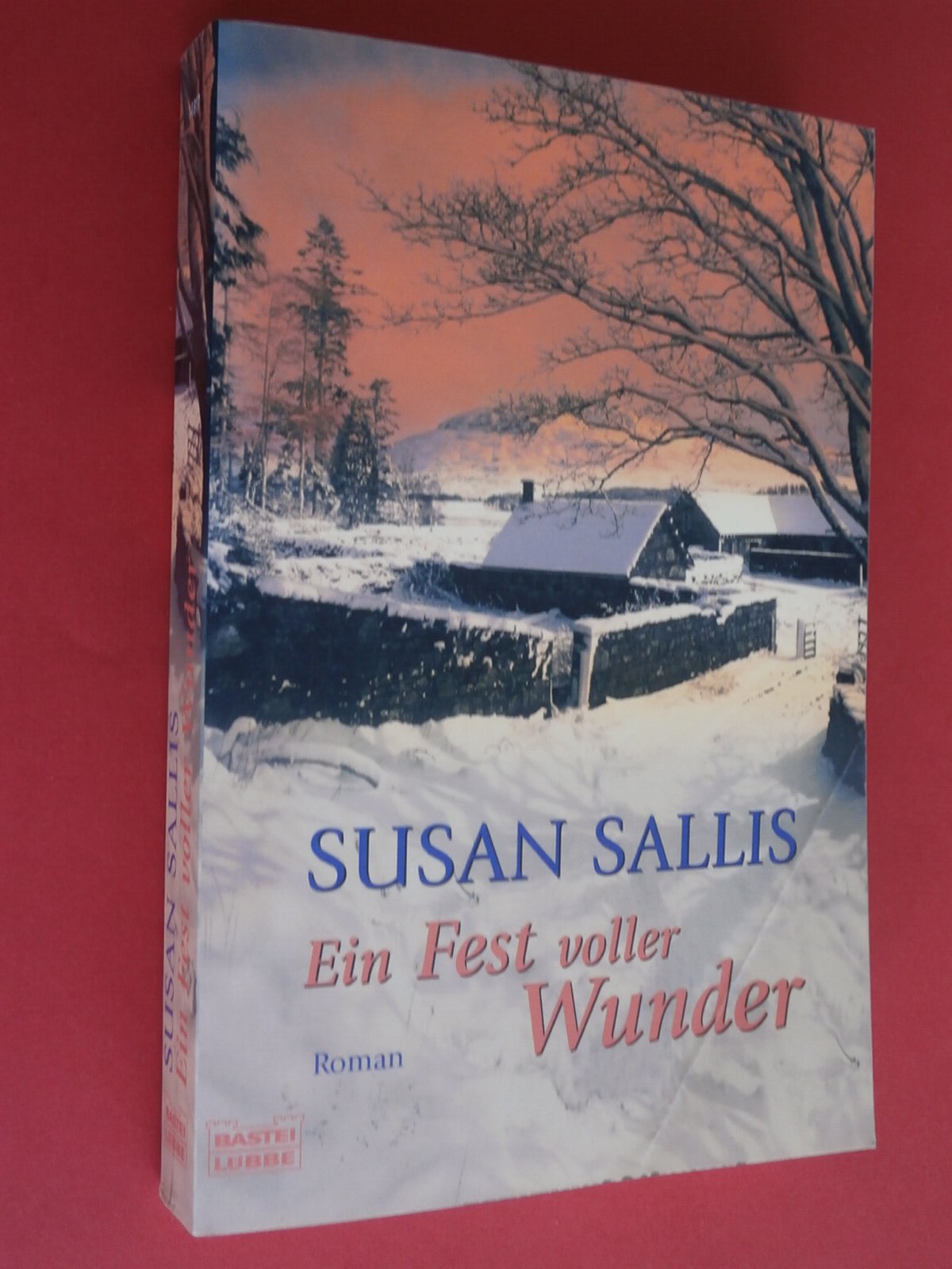 Ein Fest voller Wunder (Allgemeine Reihe. Bastei Lübbe Taschenbücher) Contemporary literature