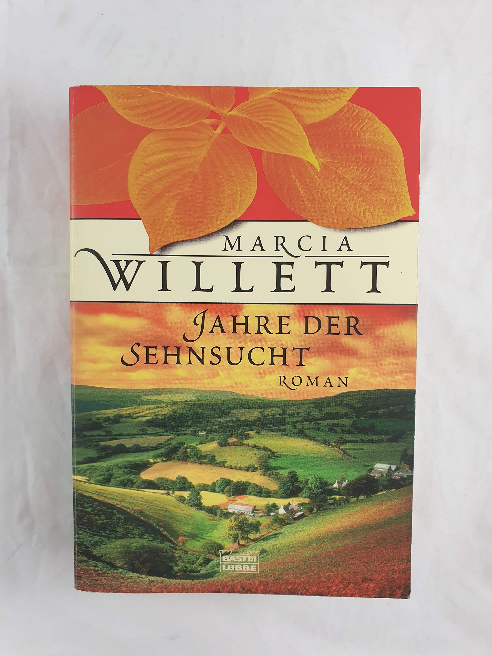 Jahre der Sehnsucht (Allgemeine Reihe. Bastei Lübbe Taschenbücher) Contemporary literature