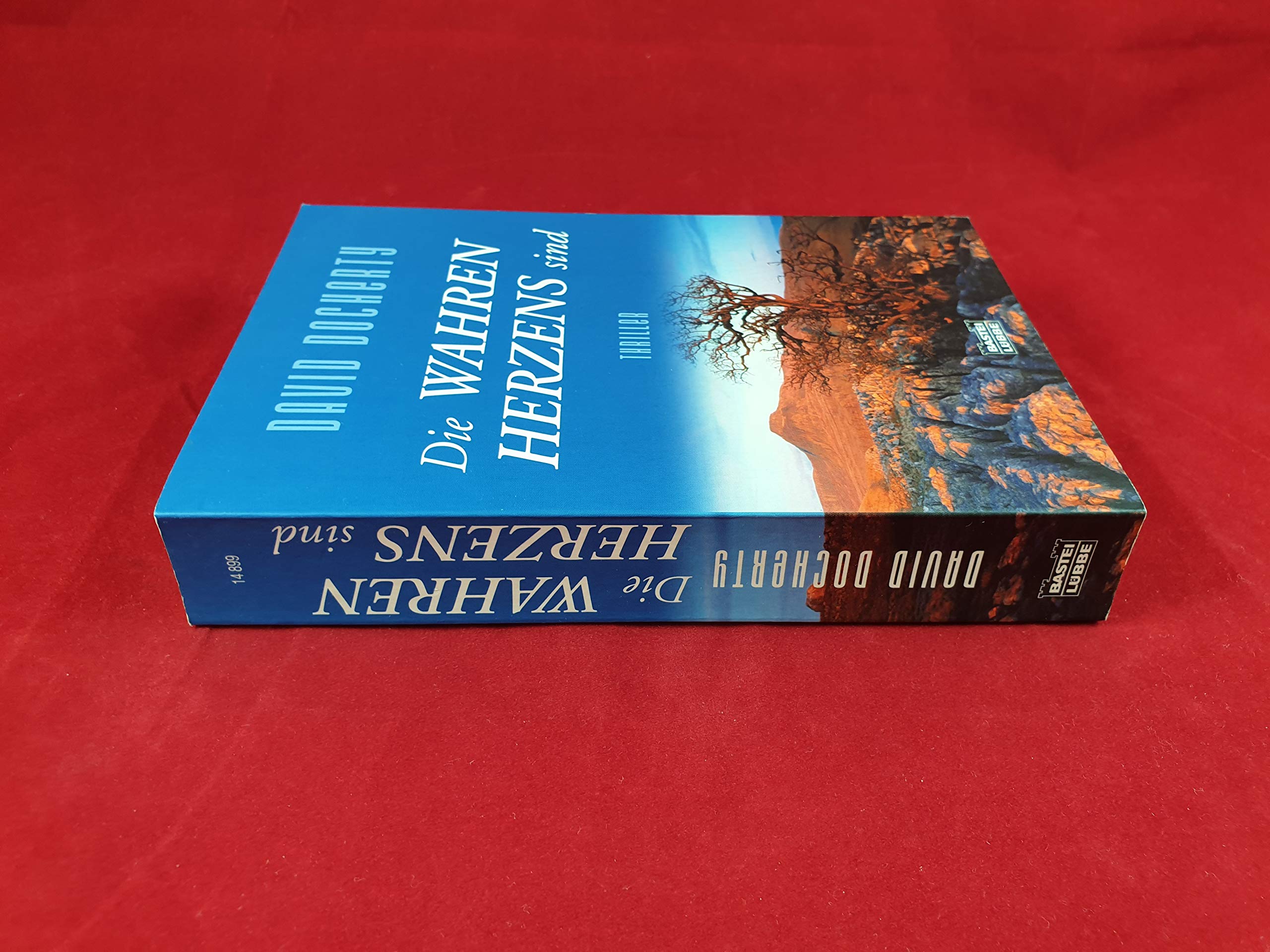 Die wahren Herzens sind: Thriller (Allgemeine Reihe. Bastei Lübbe Taschenbücher) Contemporary literature