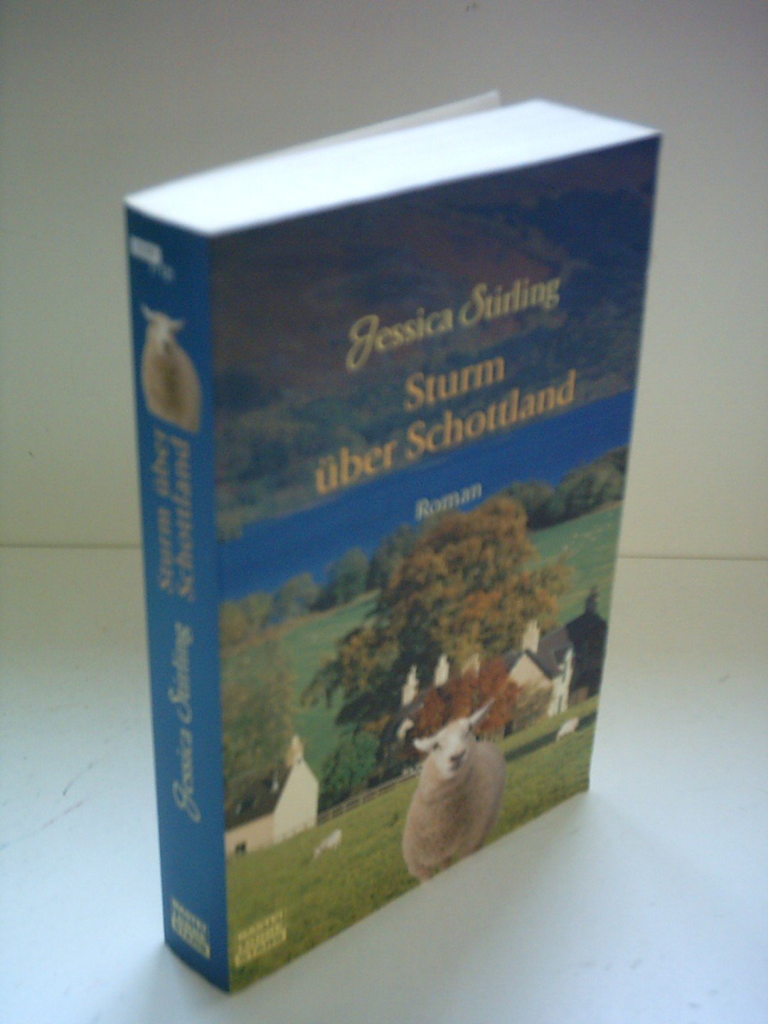 Sturm über Schottland (Allgemeine Reihe. Bastei Lübbe Taschenbücher) Contemporary literature