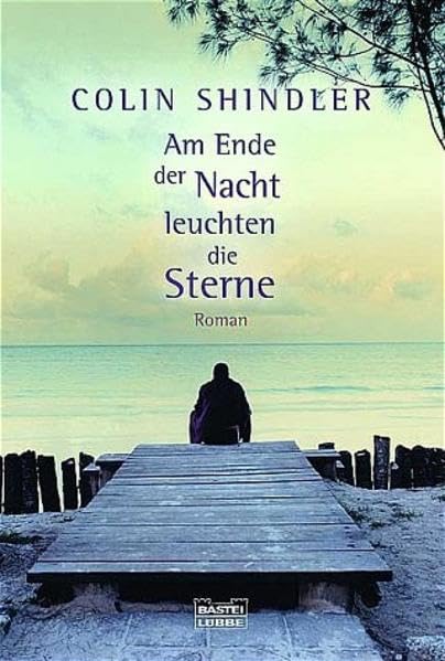 Am Ende der Nacht leuchten die Sterne (Allgemeine Reihe. Bastei Lübbe Taschenbücher) Contemporary literature