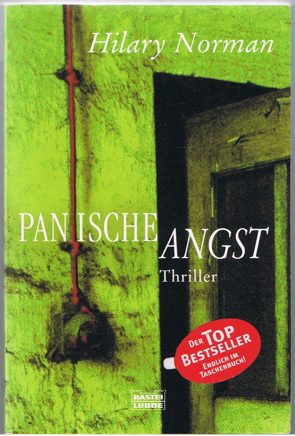 Panische Angst (Allgemeine Reihe. Bastei Lübbe Taschenbücher) Contemporary literature
