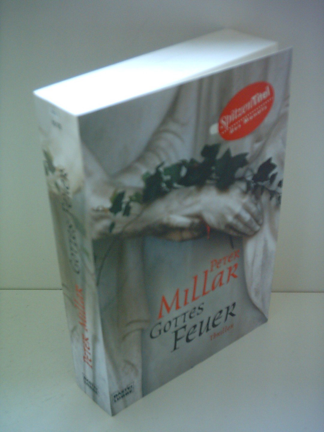 Gottes Feuer (Allgemeine Reihe. Bastei Lübbe Taschenbücher) Contemporary literature
