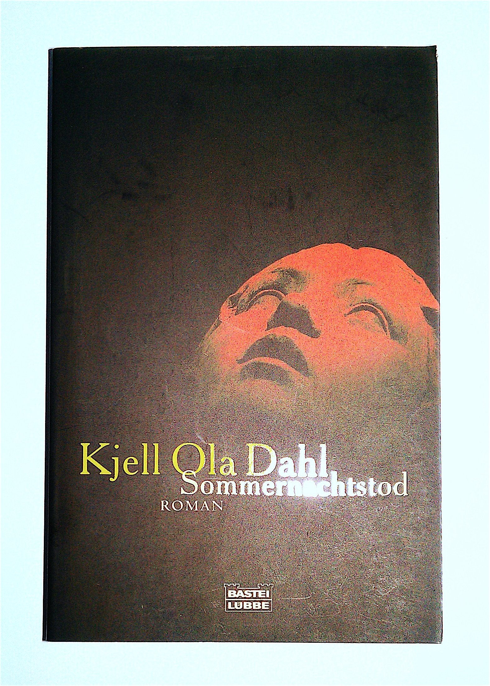 Sommernachtstod: Roman (Allgemeine Reihe. Bastei Lübbe Taschenbücher) Contemporary literature