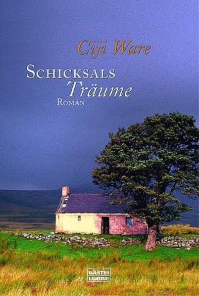 Schicksalsträume (Allgemeine Reihe. Bastei Lübbe Taschenbücher) Books
