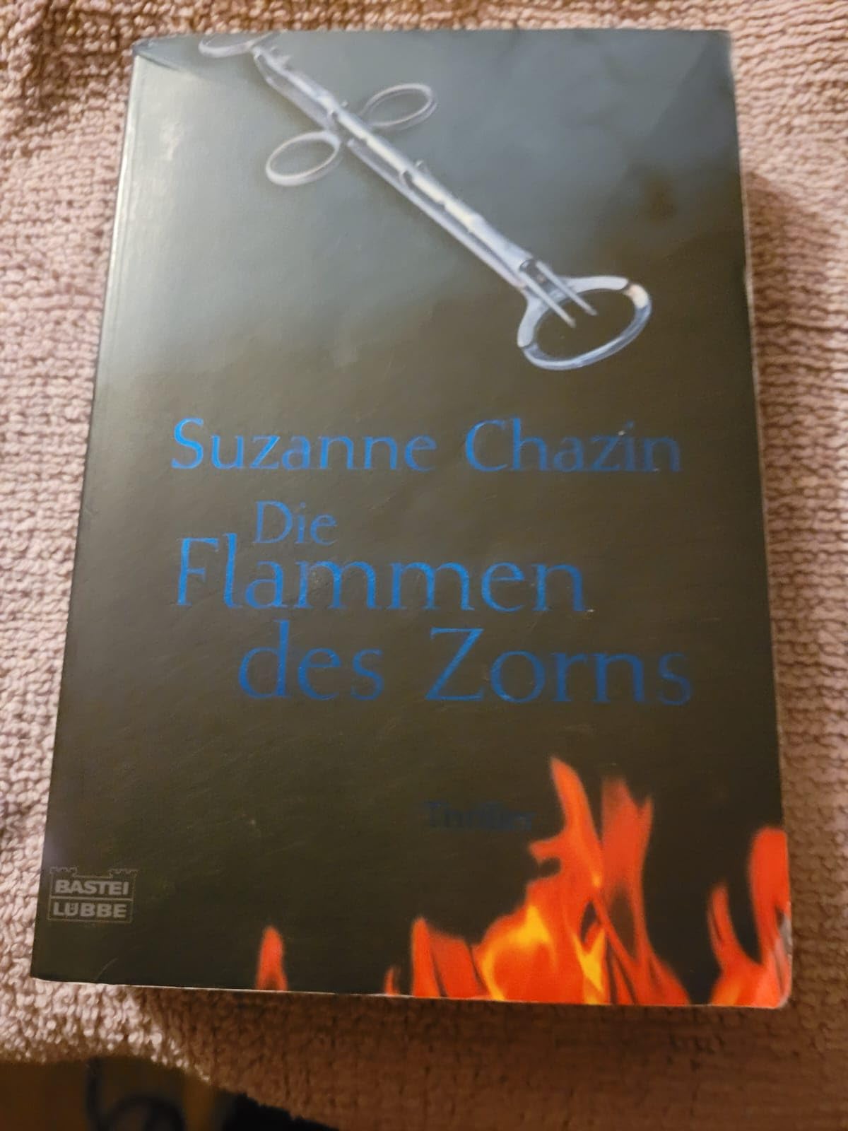 Die Flammen des Zorns (Allgemeine Reihe. Bastei Lübbe Taschenbücher) Contemporary literature