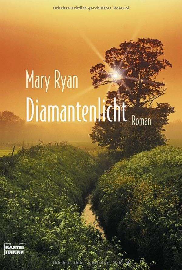 Diamantenlicht (Allgemeine Reihe. Bastei Lübbe Taschenbücher) Contemporary literature