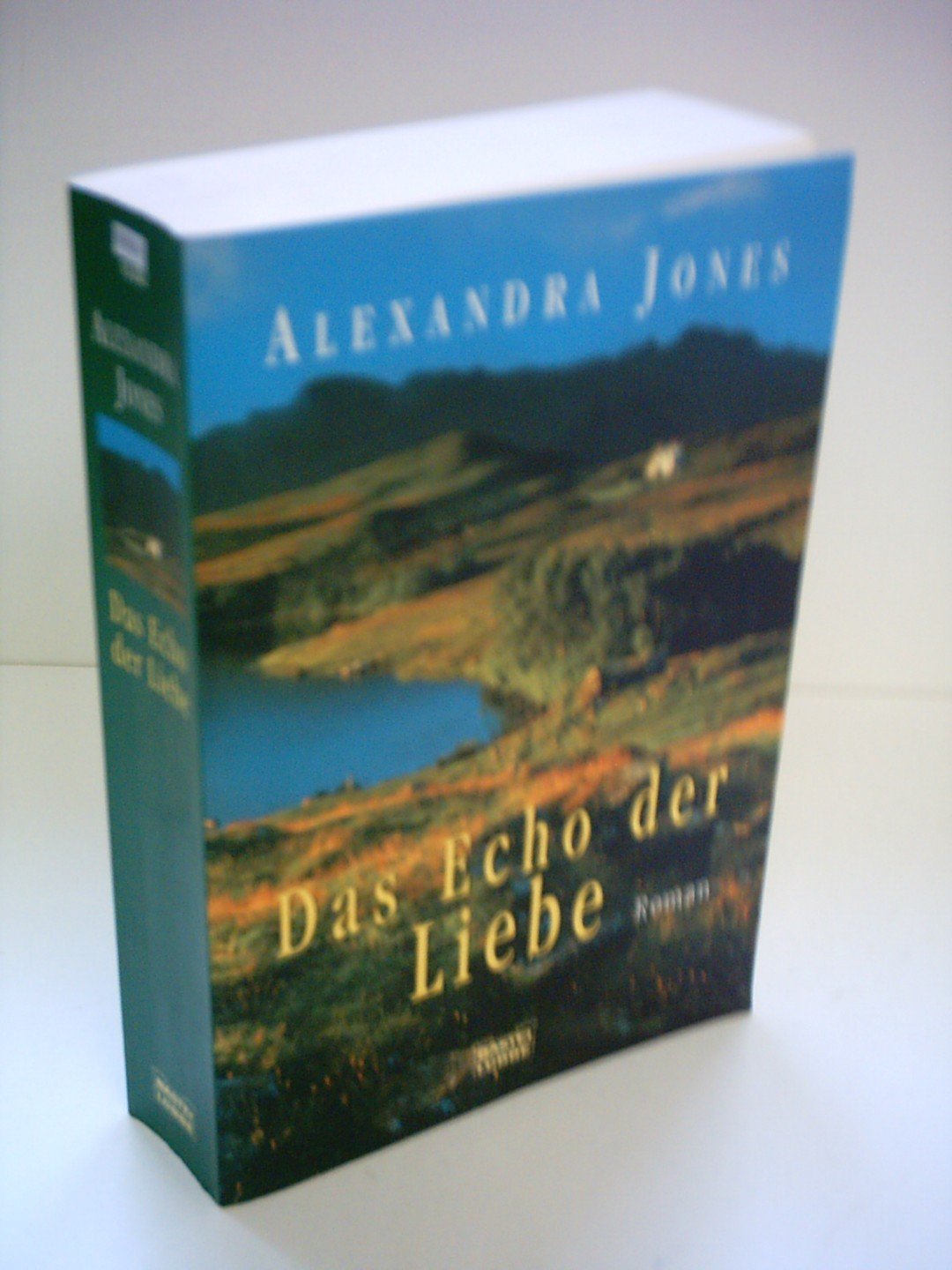 Das Echo der Liebe: Roman (Allgemeine Reihe. Bastei Lübbe Taschenbücher) Books