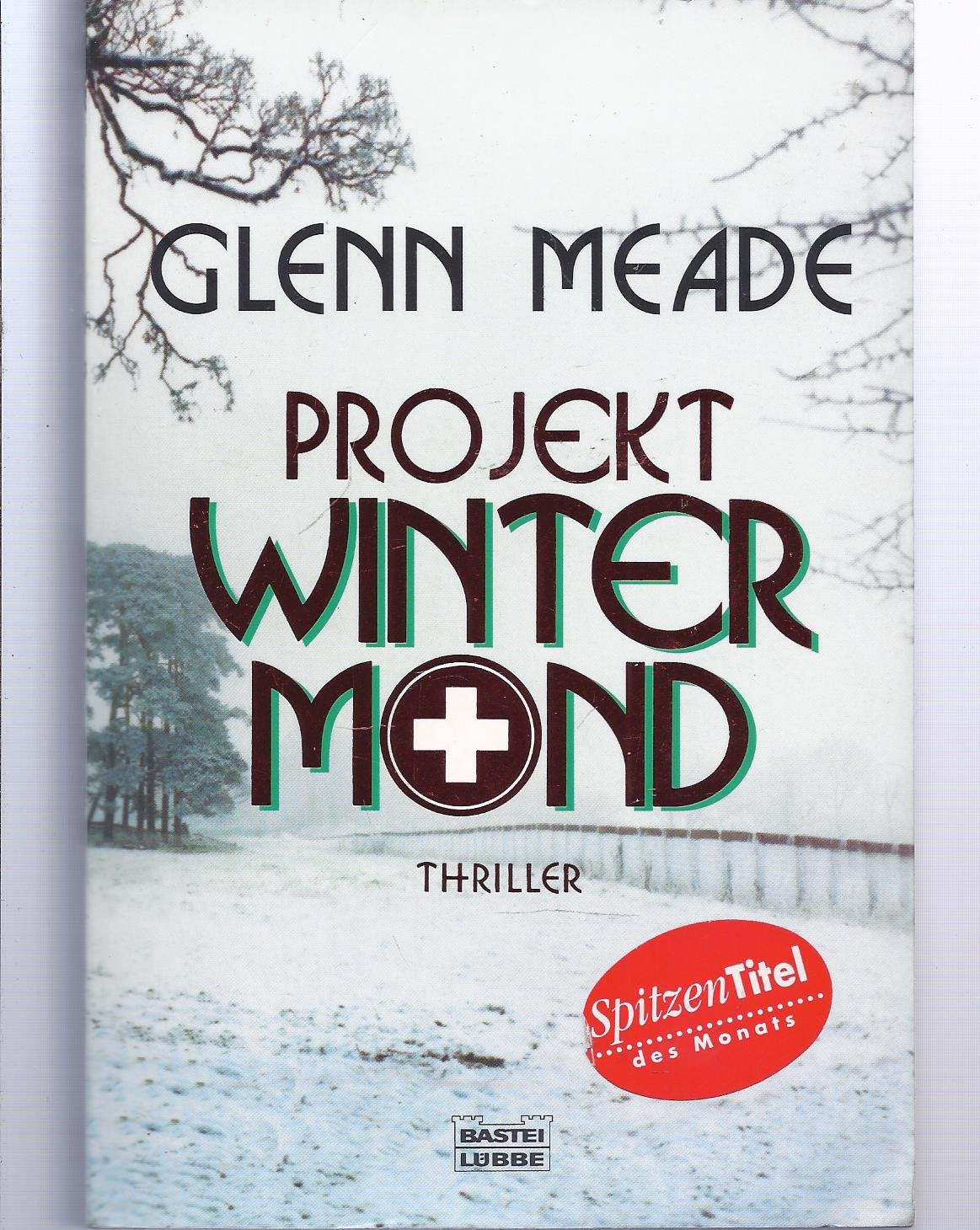 Projekt Wintermond: Thriller (Allgemeine Reihe. Bastei Lübbe Taschenbücher) Action & Adventure
