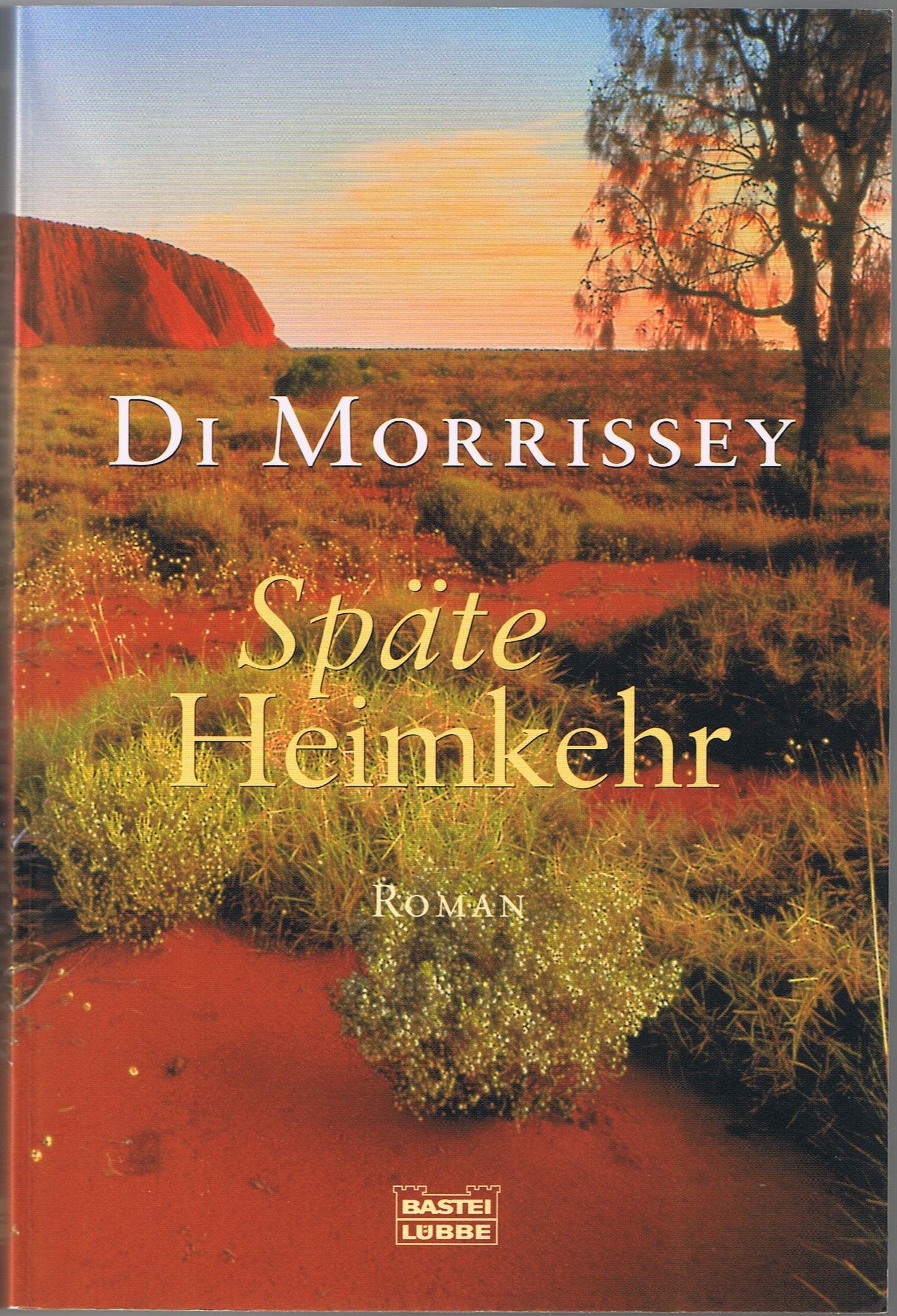 Späte Heimkehr (Allgemeine Reihe. Bastei Lübbe Taschenbücher) Contemporary literature