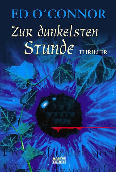 Zur dunkelsten Stunde: Thriller (Allgemeine Reihe. Bastei Lübbe Taschenbücher) Contemporary literature