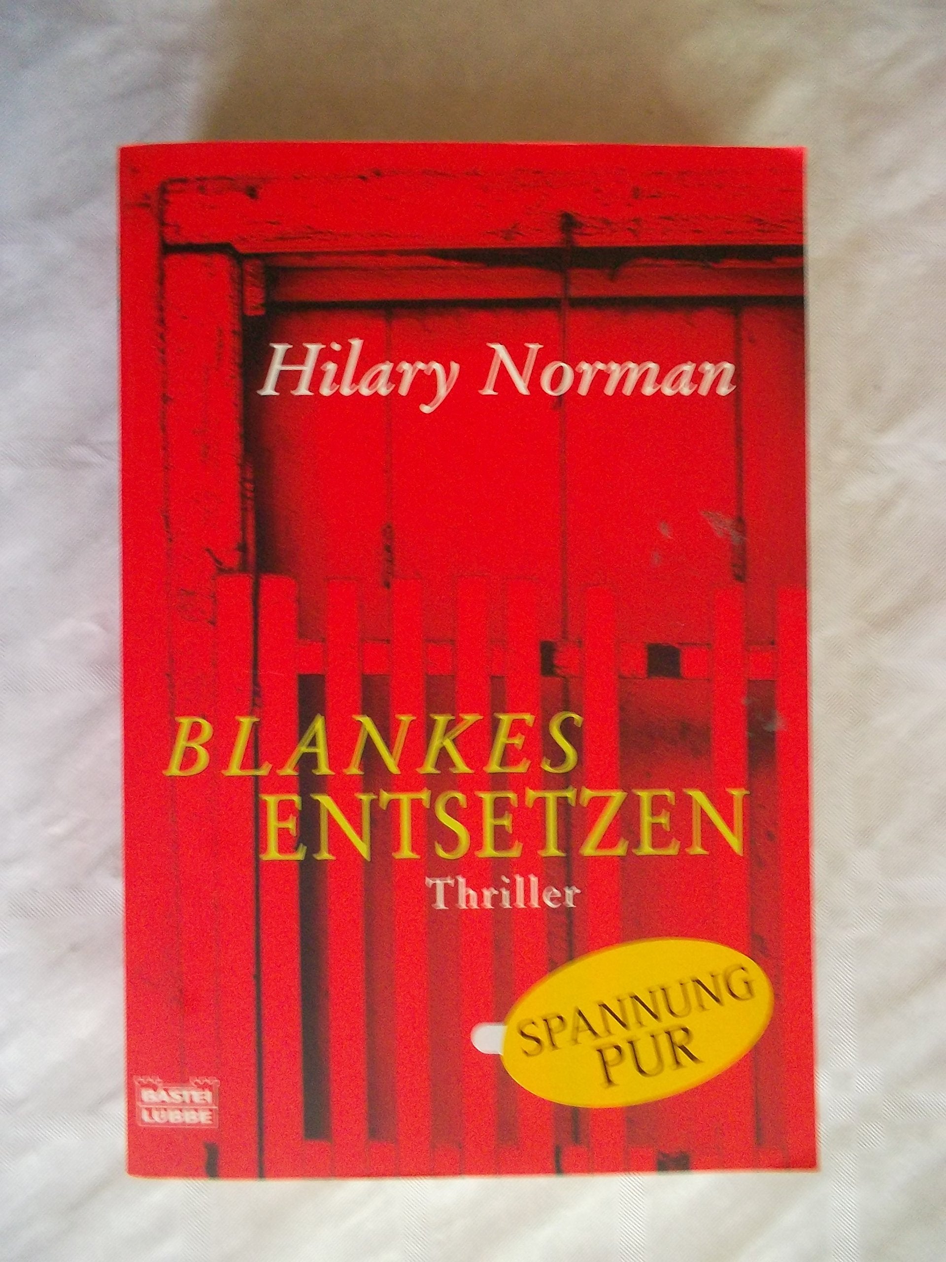 Blankes Entsetzen: Thriller (Allgemeine Reihe. Bastei Lübbe Taschenbücher) Action & Adventure