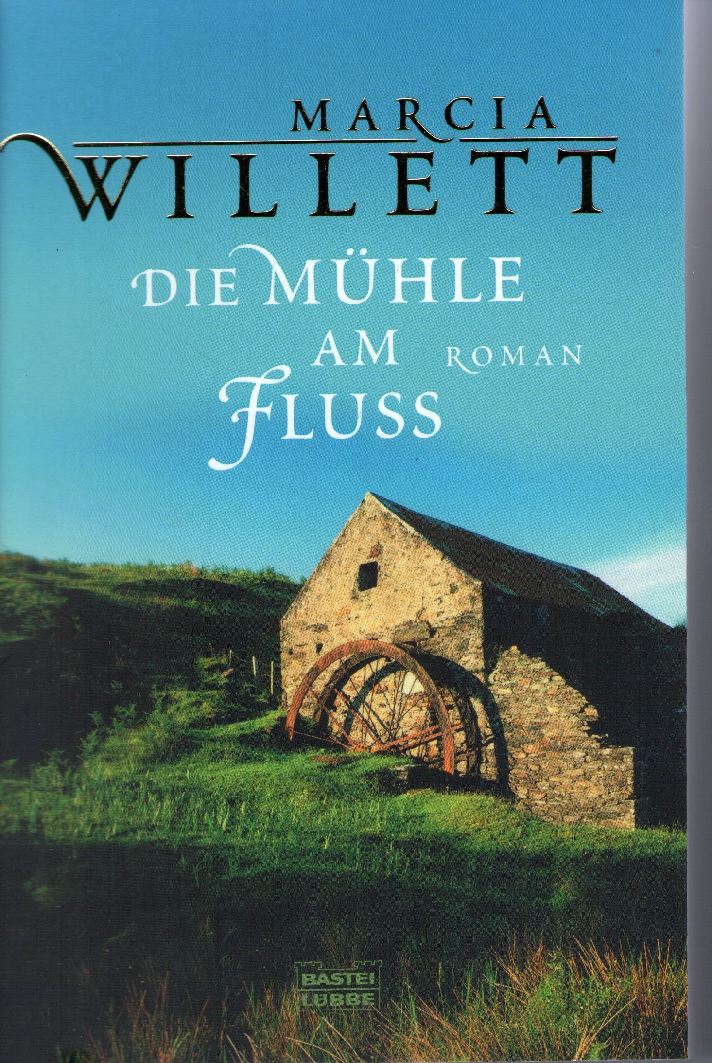 Die Mühle am Fluss: Roman (Allgemeine Reihe. Bastei Lübbe Taschenbücher) Books