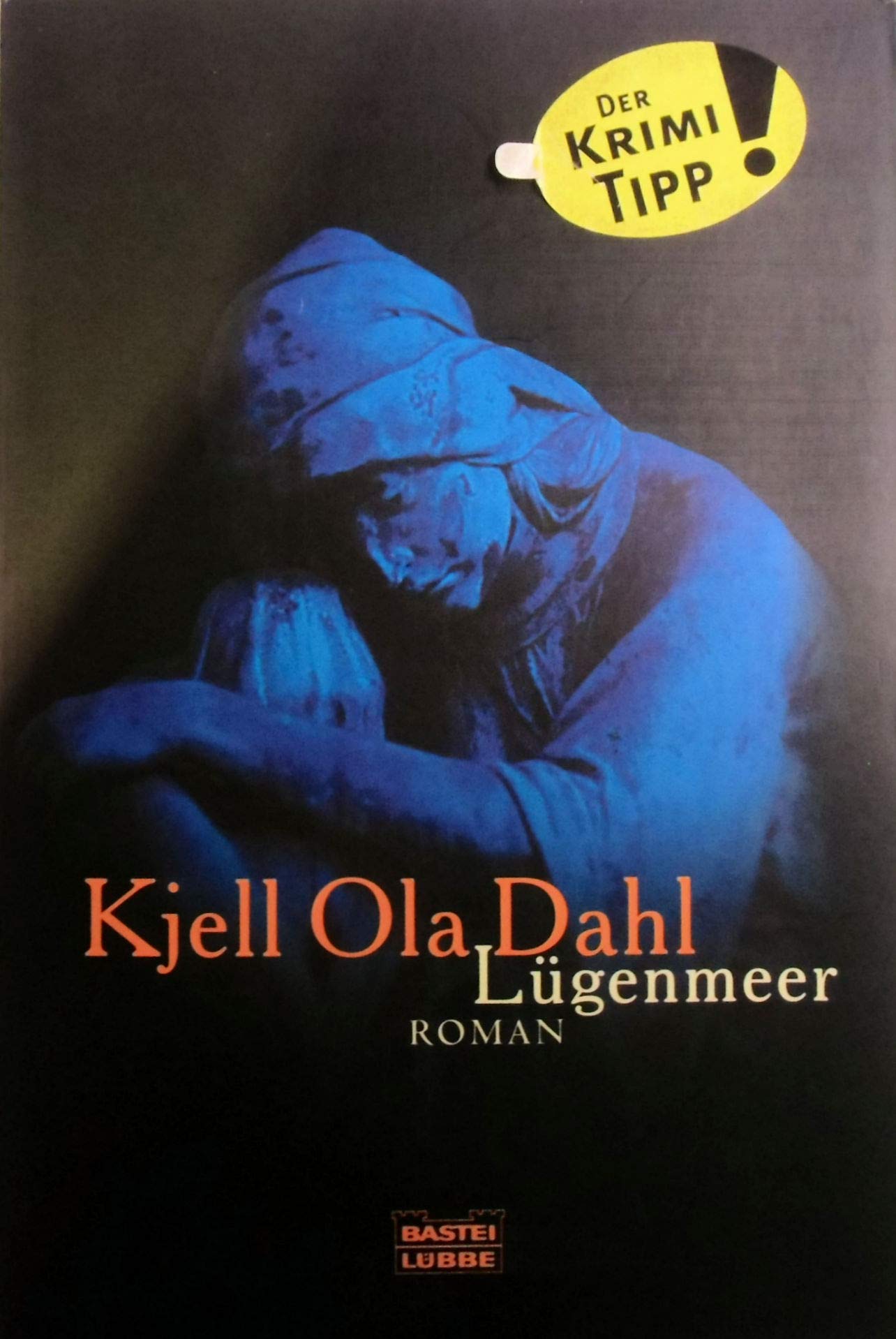 Lügenmeer: Roman (Allgemeine Reihe. Bastei Lübbe Taschenbücher) Contemporary literature