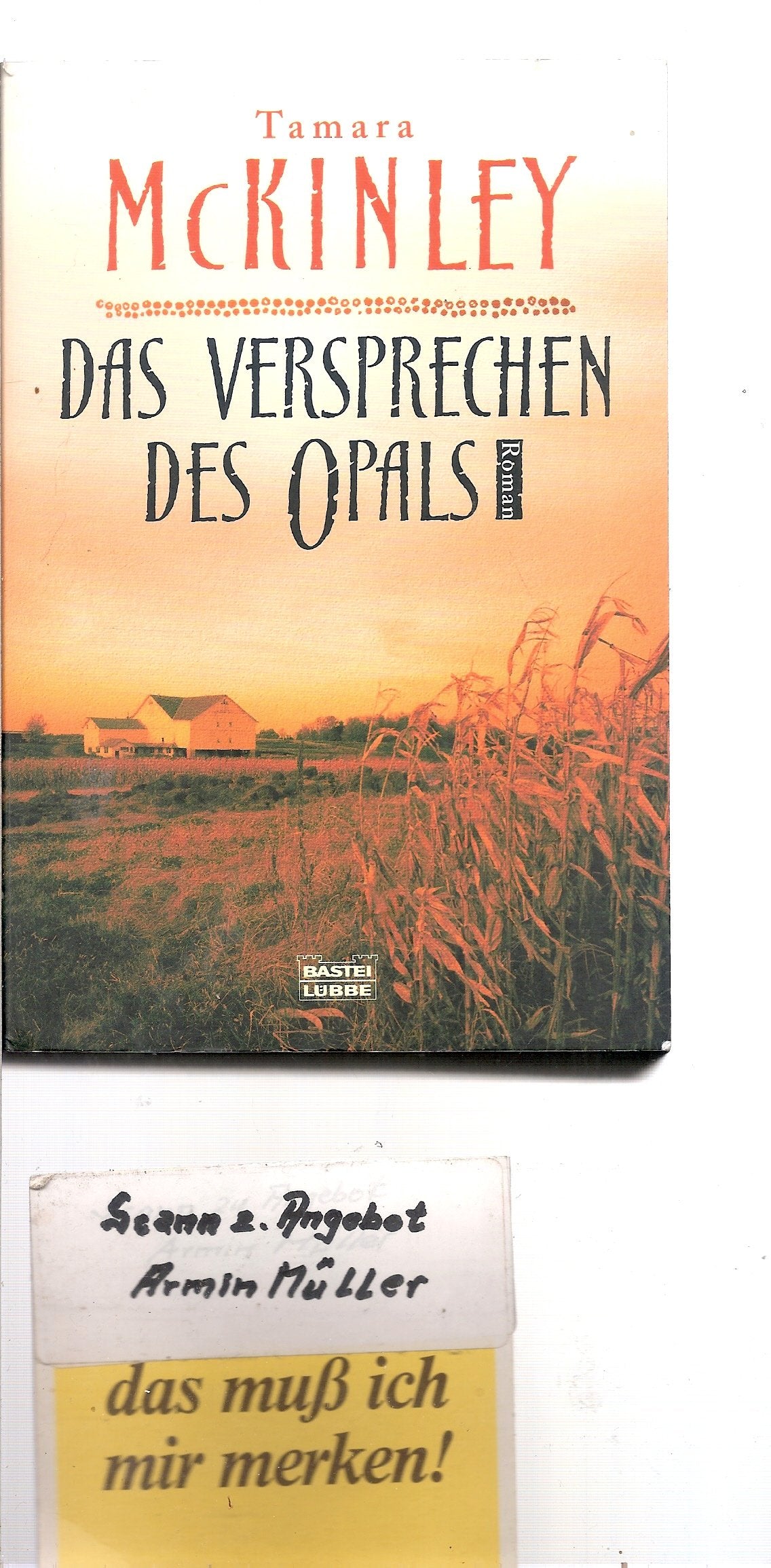Das Versprechen des Opals: Roman (Allgemeine Reihe. Bastei Lübbe Taschenbücher) Contemporary literature
