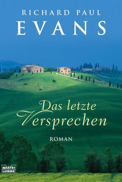 Das letzte Versprechen (Allgemeine Reihe. Bastei Lübbe Taschenbücher) Contemporary literature