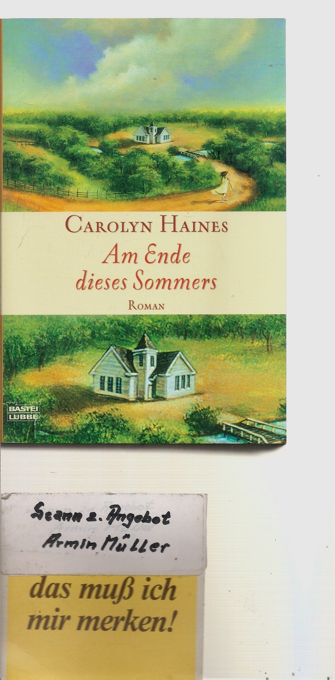 Am Ende dieses Sommers: Roman: Roman. Deutsche Erstausgabe (Allgemeine Reihe. Bastei Lübbe Taschenbücher) Contemporary literature Books