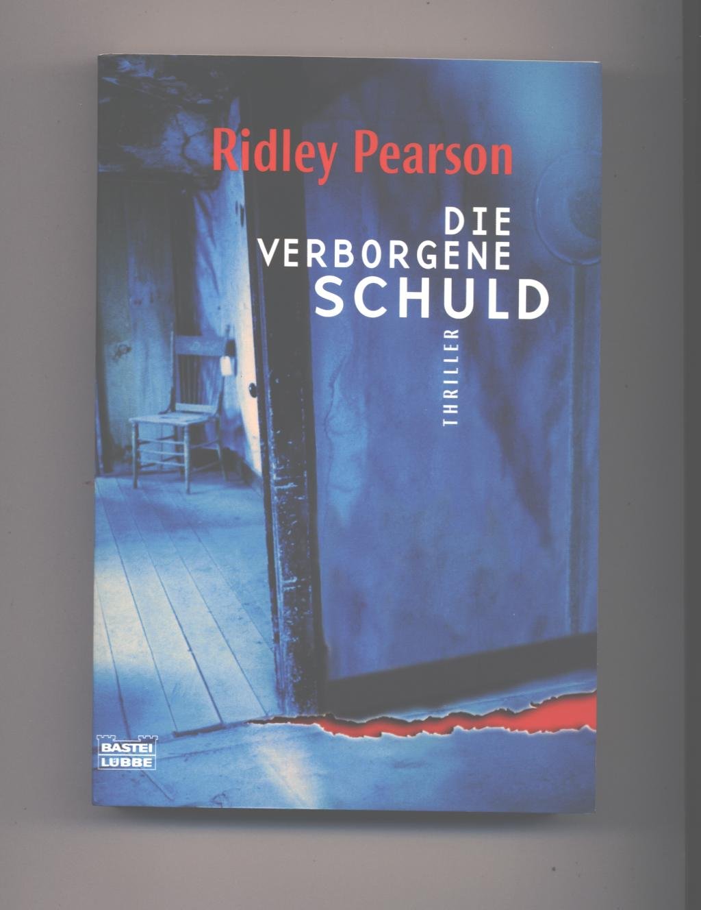 Die verborgene Schuld (Allgemeine Reihe. Bastei Lübbe Taschenbücher) Contemporary literature