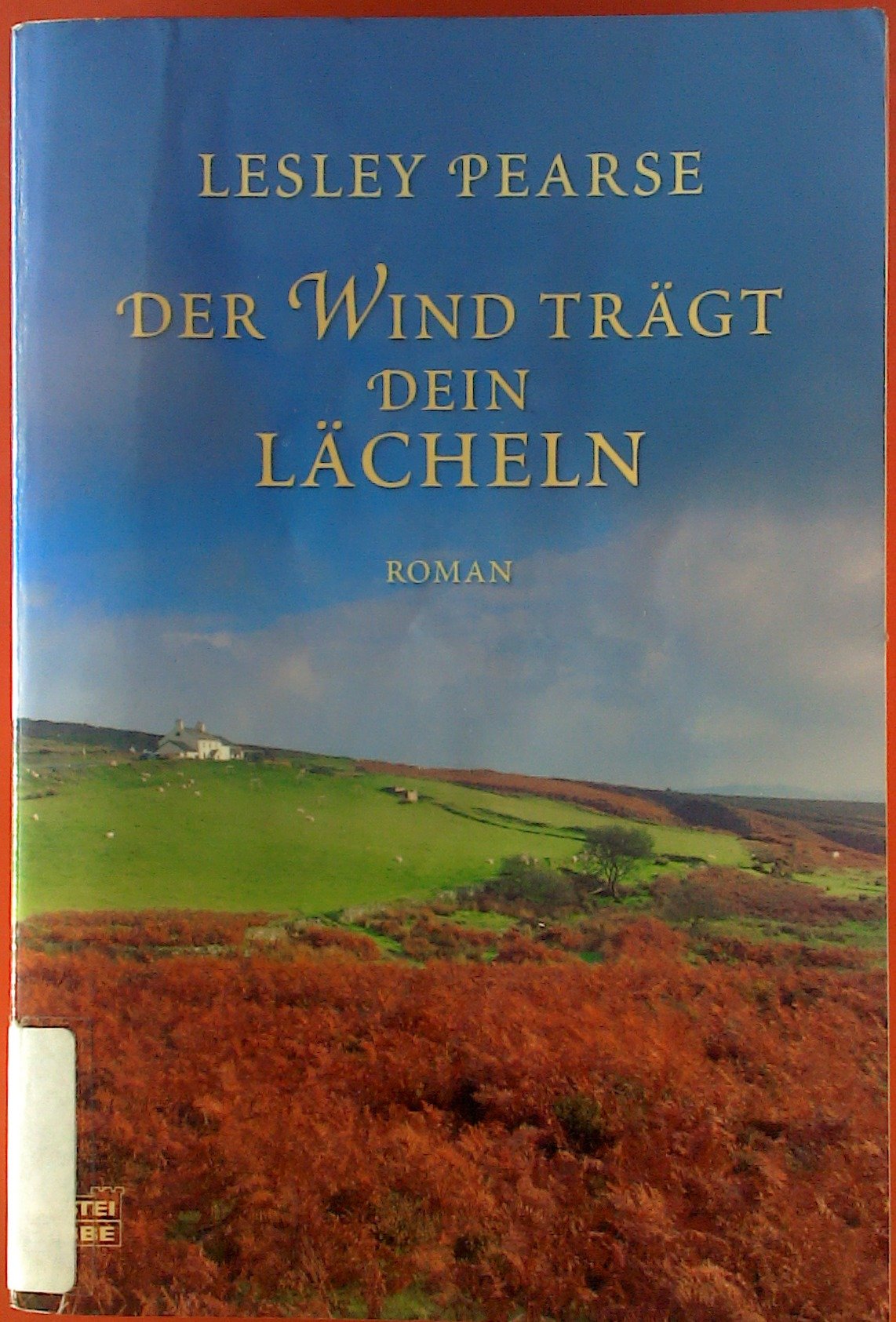 Der Wind trägt dein Lächeln: Roman: Roman. Deutsche Erstveröffentlichung (Allgemeine Reihe. Bastei Lübbe Taschenbücher) Contemporary literature Books