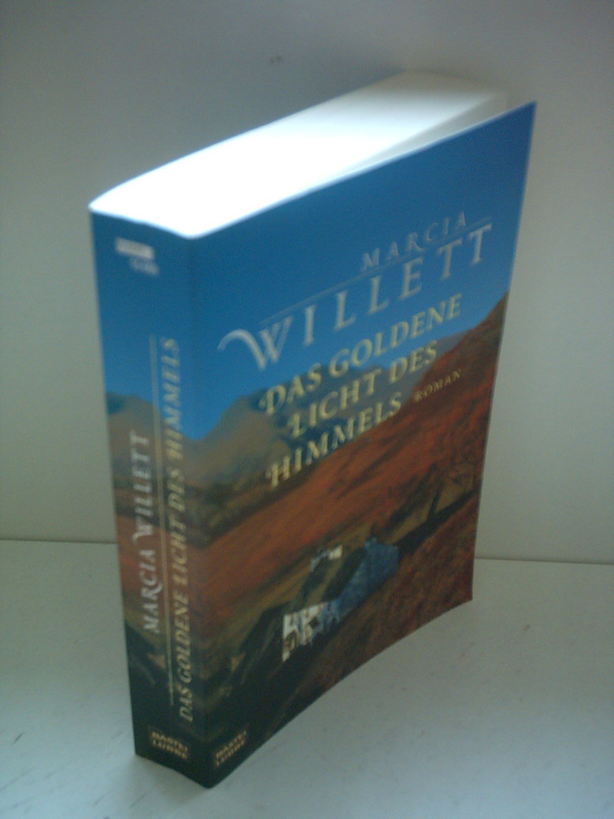 Das goldene Licht des Himmels: Roman. Deutsche Erstausgabe (Allgemeine Reihe. Bastei Lübbe Taschenbücher) Contemporary literature Books
