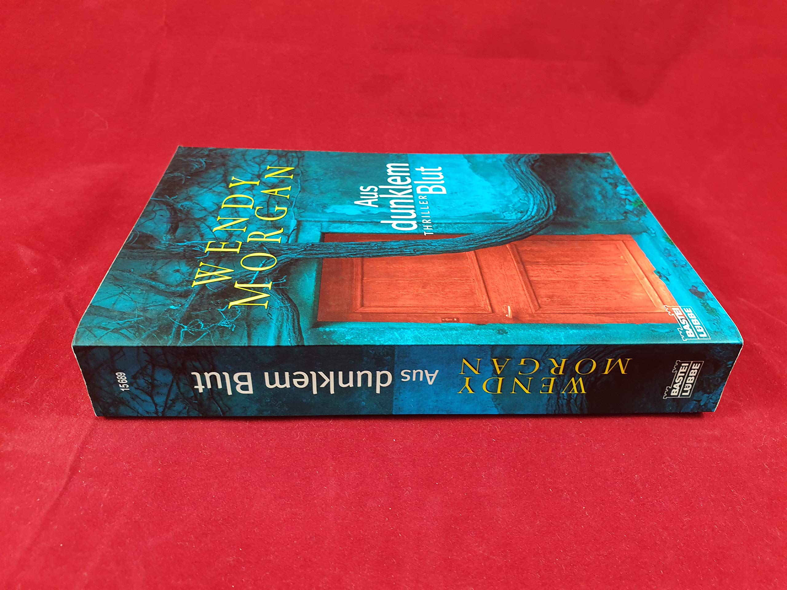 Aus dunklem Blut: Thriller (Allgemeine Reihe. Bastei Lübbe Taschenbücher) Action & Adventure