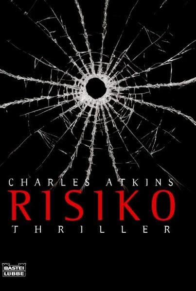 Risiko: Thriller (Allgemeine Reihe. Bastei Lübbe Taschenbücher) Contemporary literature