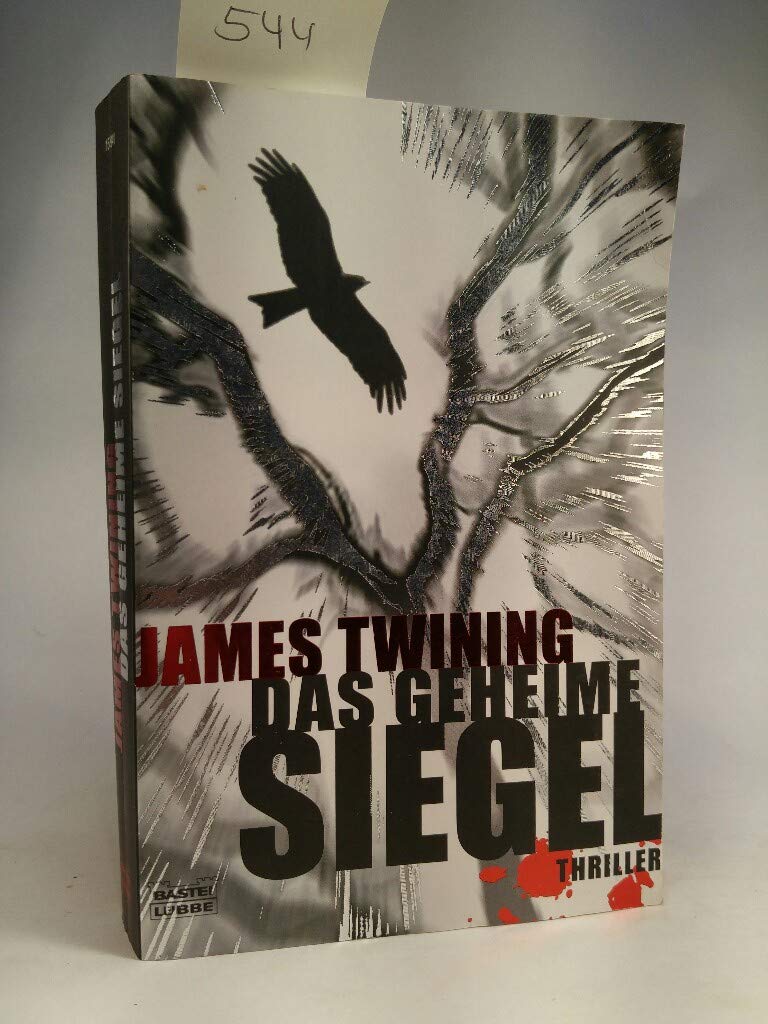 Das geheime Siegel: Thriller (Allgemeine Reihe. Bastei Lübbe Taschenbücher) Contemporary literature