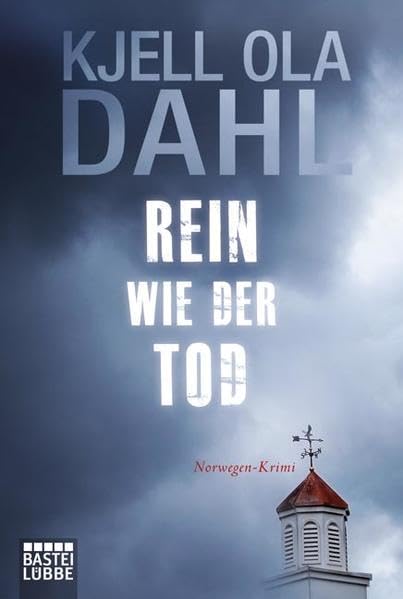 Rein wie der Tod: Norwegen-Krimi Contemporary literature