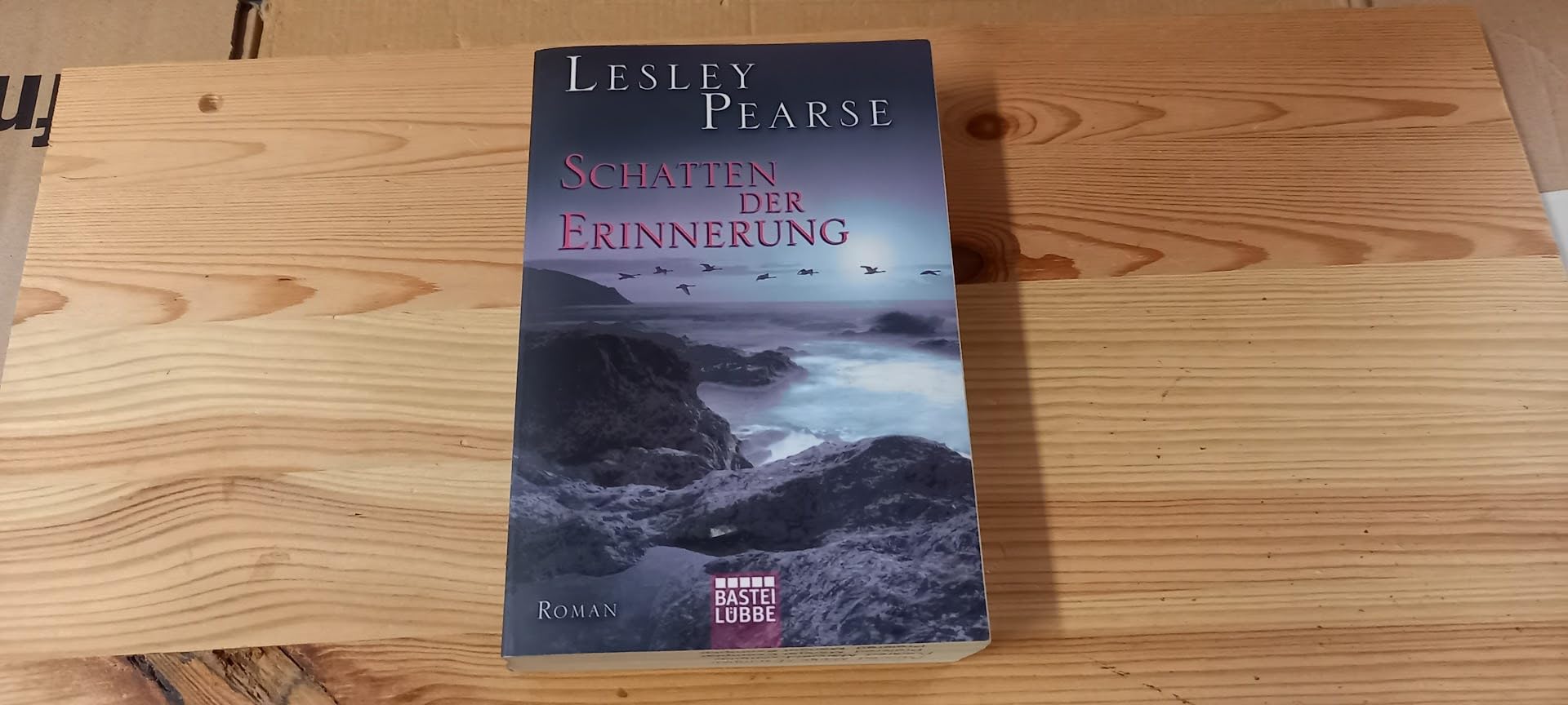 Schatten der Erinnerung Contemporary literature Books