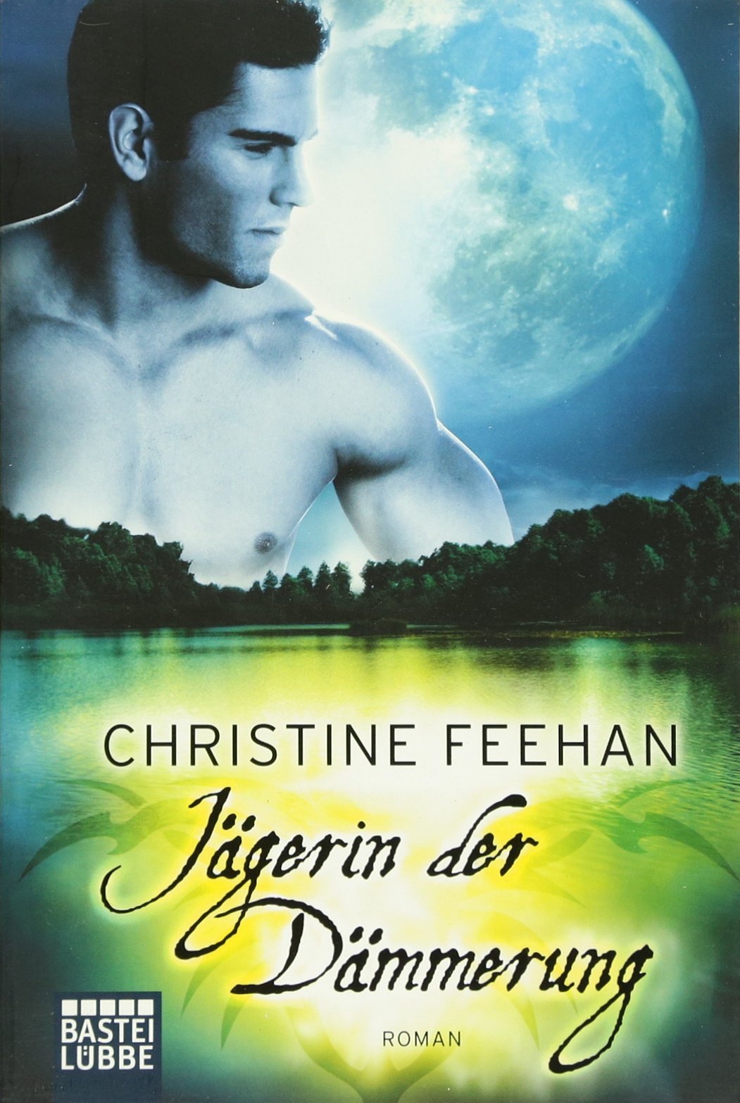 Jägerin der Dämmerung Contemporary literature Books