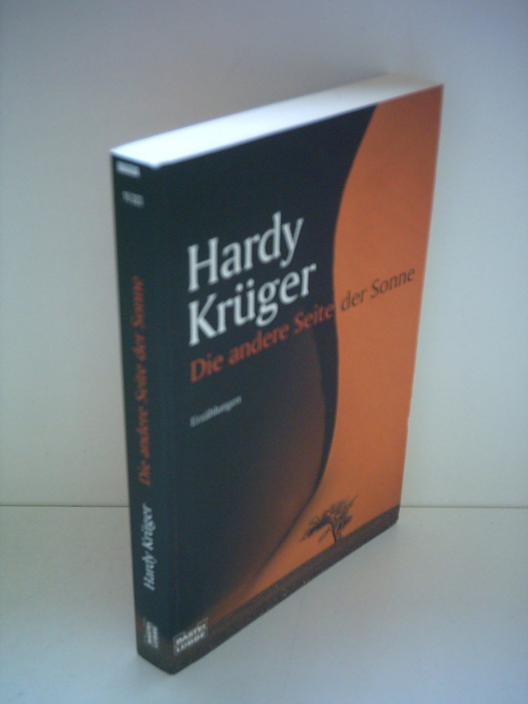 Die andere Seite der Sonne: Erzählungen (Allgemeine Reihe. Bastei Lübbe Taschenbücher) Contemporary literature
