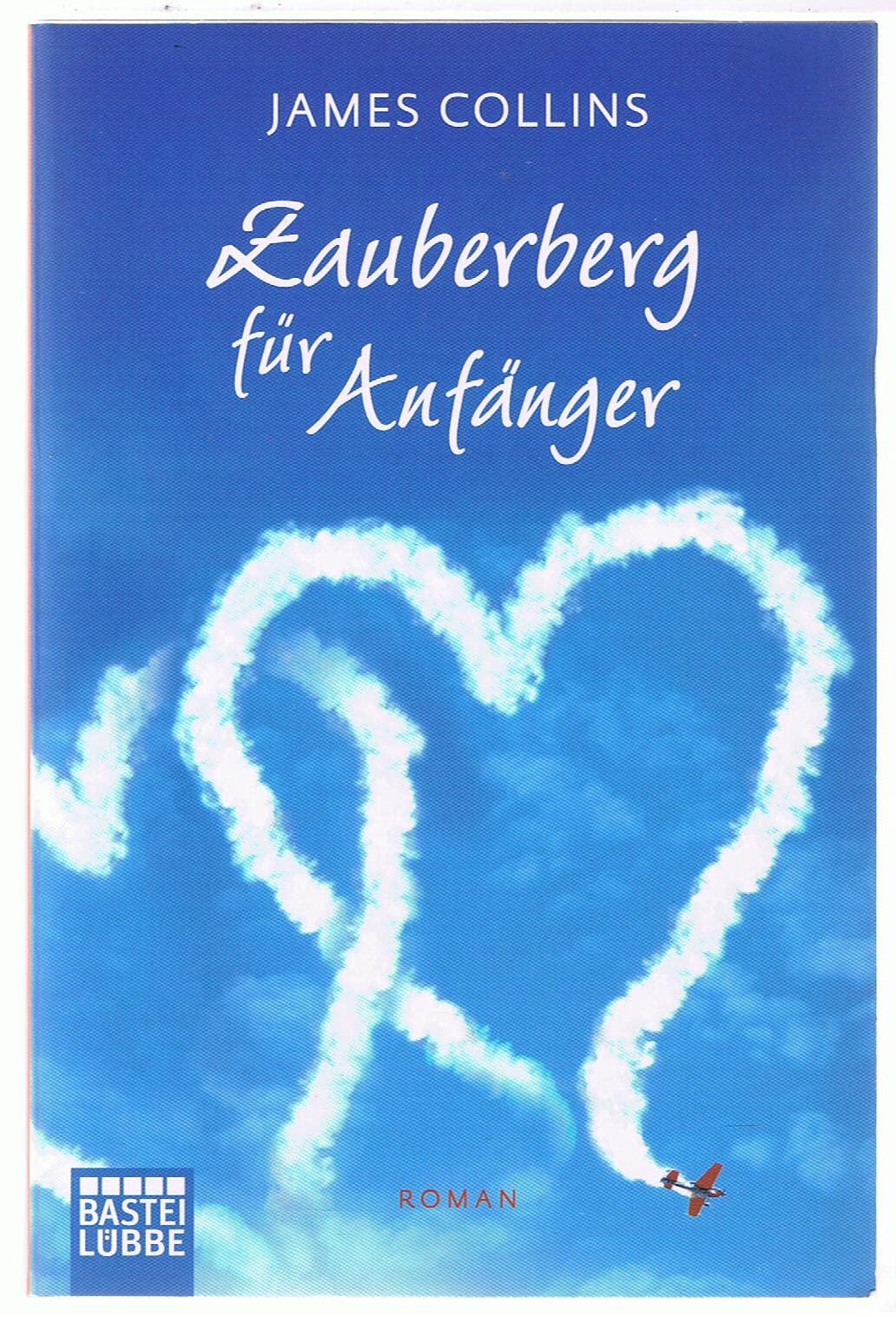 Zauberberg für Anfänger: Roman Contemporary literature