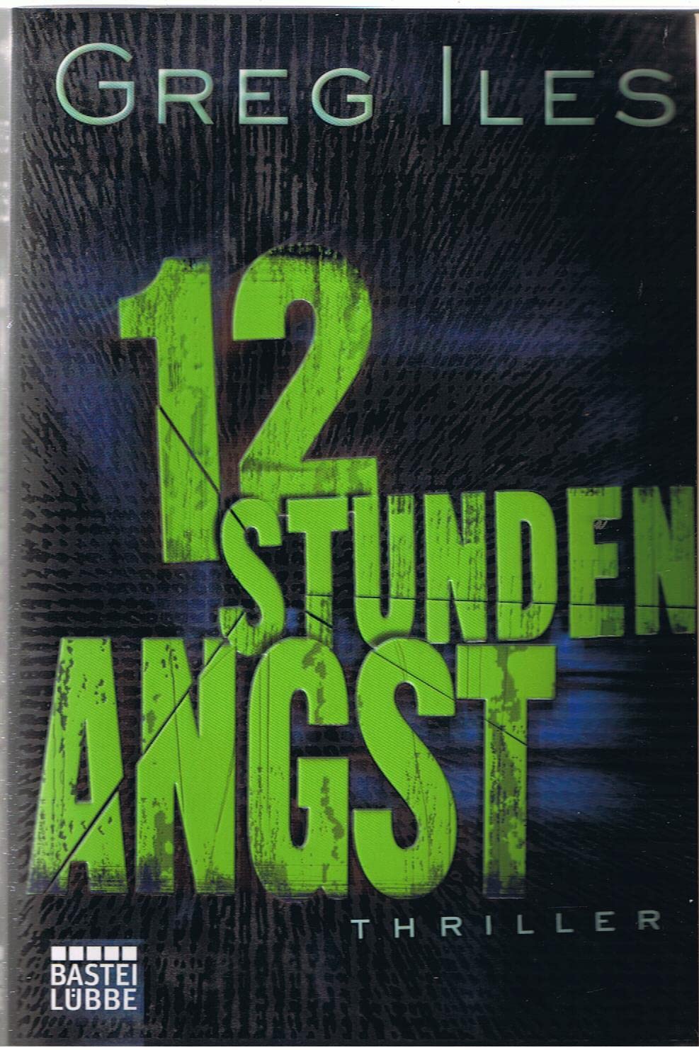 12 Stunden Angst: Thriller: Thriller. Deutsche Erstausgabe (Allgemeine Reihe. Bastei Lübbe Taschenbücher) Action & Adventure