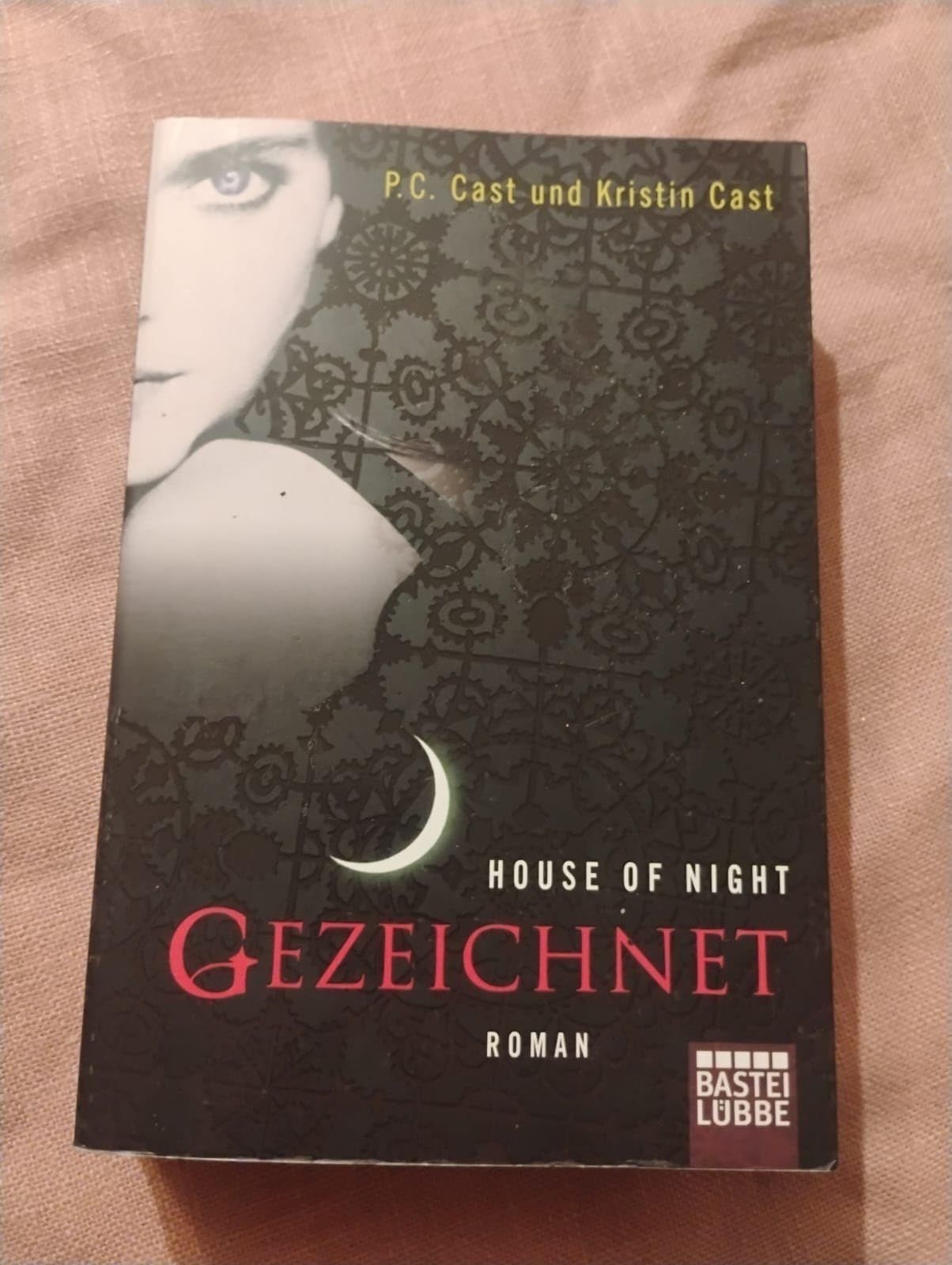 House of Night 01 - Gezeichnet Contemporary literature